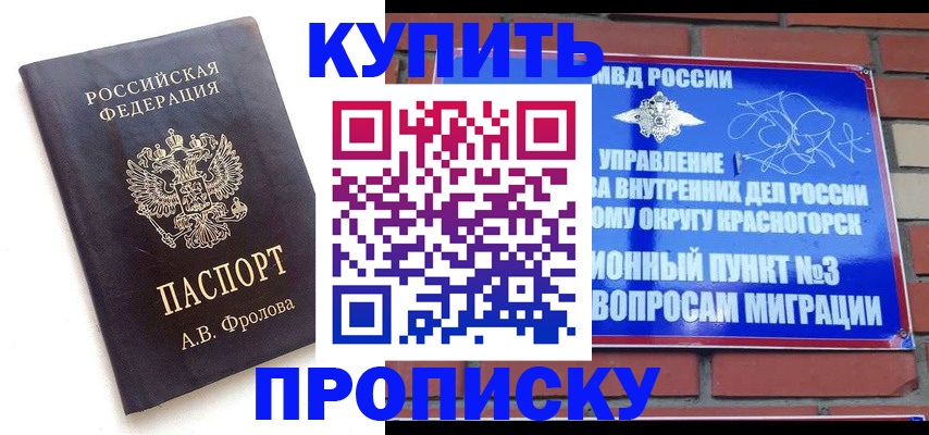 прописка поиск в Всеволожске
